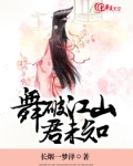 舞破江山君未知