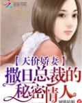 天价娇妻：撒旦总裁的秘密情人
