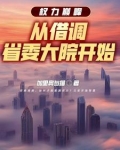 权力巅峰：从借调省委大院开始