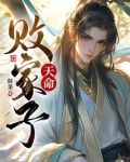 天命败家子
