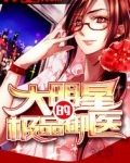 大明星的极品御医