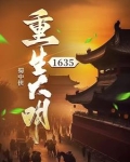 重生大明1617