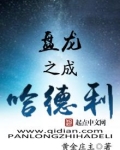 盘龙之成哈德利