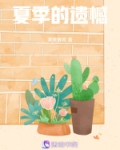夏季的遗憾