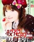 校花的贴身保镖