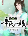 穿越之辛氏二娘