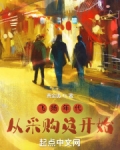 飞扬年代：从采购员开始