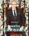 妈咪扮丑后，总裁爹地掐腰宠