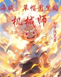 海贼:草帽团里的机械师是谁