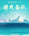 海贼：我有一个游戏面板