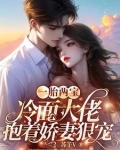 一胎两宝，冷面大佬抱着娇妻狠宠