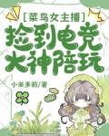 电竞女主播和电竞大神的小说