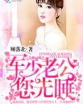 夜少心尖宠：国民妖精是总统