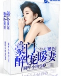 豪门婚色之醉宠暖妻