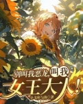 红龙女王游戏视频