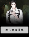 都市最强仙尊