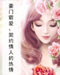 豪门霸爱：契约情人的热情