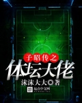子昭传之体坛大佬