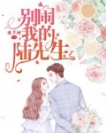 别闹，我的陆先生