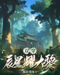 双穿,辰星耀大黎