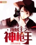 海贼王之神枪手