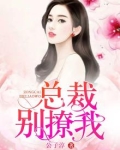 总裁别撩我