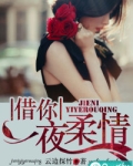 借你一夜柔情