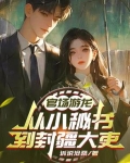 官场游龙龙子游的小说
