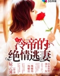 冷帝的绝情逃妻