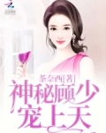 神秘老公顾少宠妻上瘾