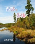日记系统的小说