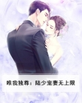 唯我独尊：陆少宠妻无上限