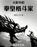 火影中的拳皇格斗家